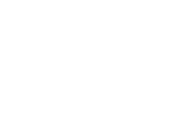 Camada 8
